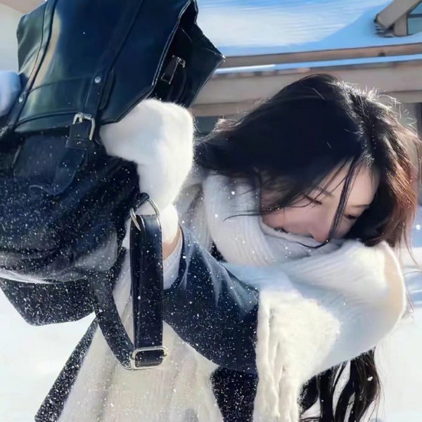 奈良抉择 海报